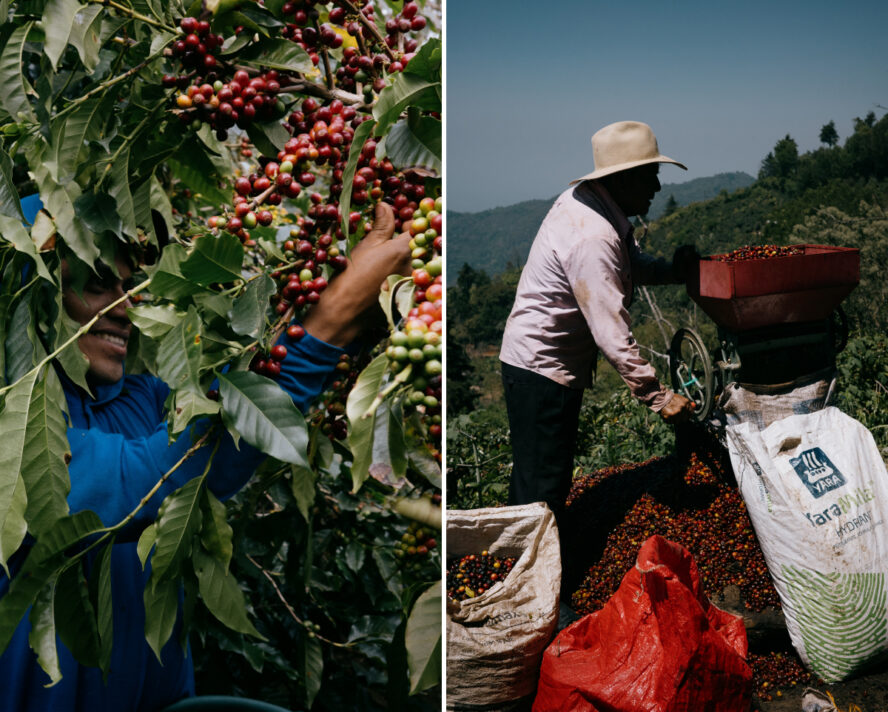 Guatemala