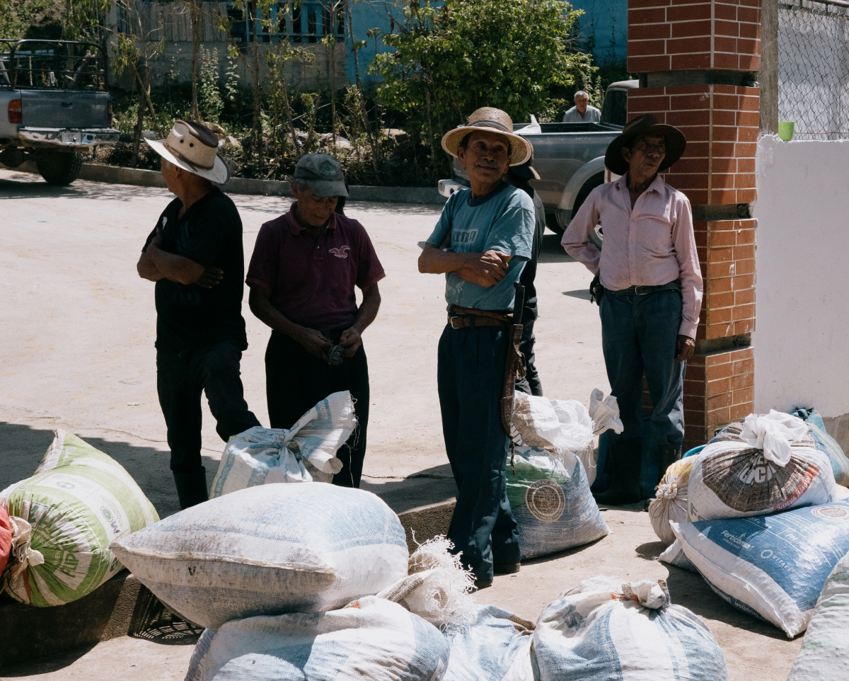 Viaje a origen: Guatemala